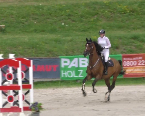 Reitturnier Zeltweg-Farrach 2022