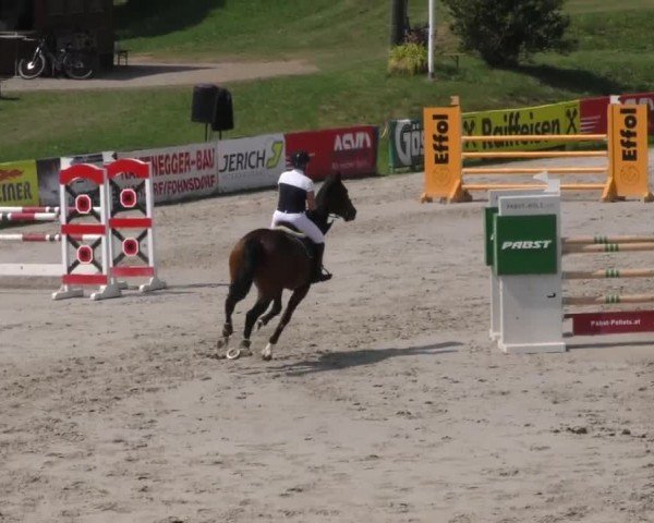 Reitturnier Zeltweg-Farrach 2022