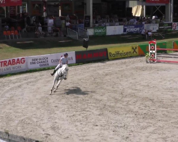 Reitturnier Zeltweg-Farrach 2022