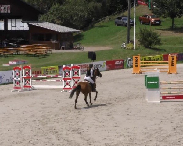 Reitturnier Zeltweg-Farrach 2022