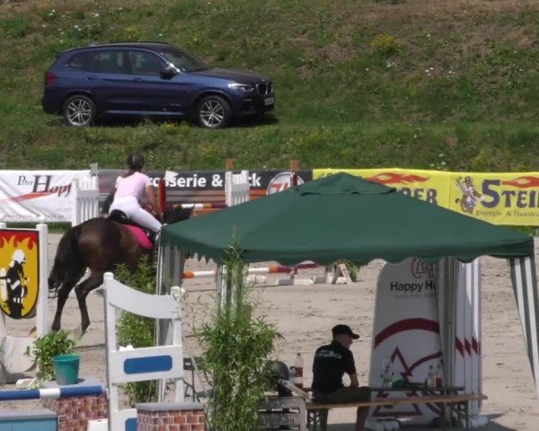 Reitturnier Zeltweg-Farrach 2022