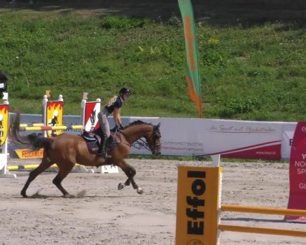 Reitturnier Zeltweg-Farrach 2022