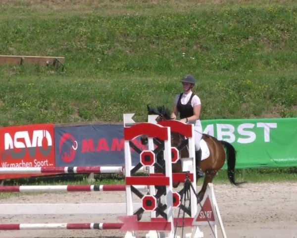 Reitturnier Zeltweg-Farrach 2022