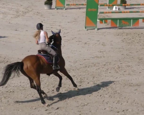 Reitturnier Zeltweg-Farrach 2022