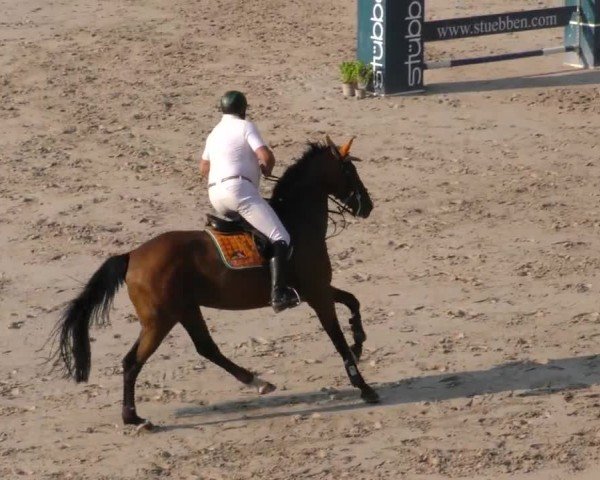 Reitturnier Zeltweg-Farrach 2022
