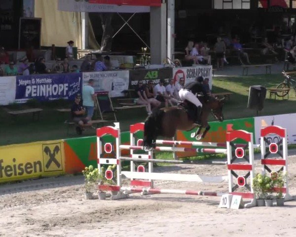 Reitturnier Zeltweg-Farrach 2022