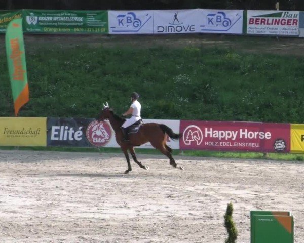 Reitturnier Zeltweg-Farrach 2022