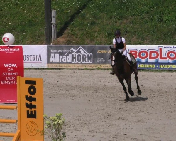 Reitturnier Zeltweg-Farrach 2022