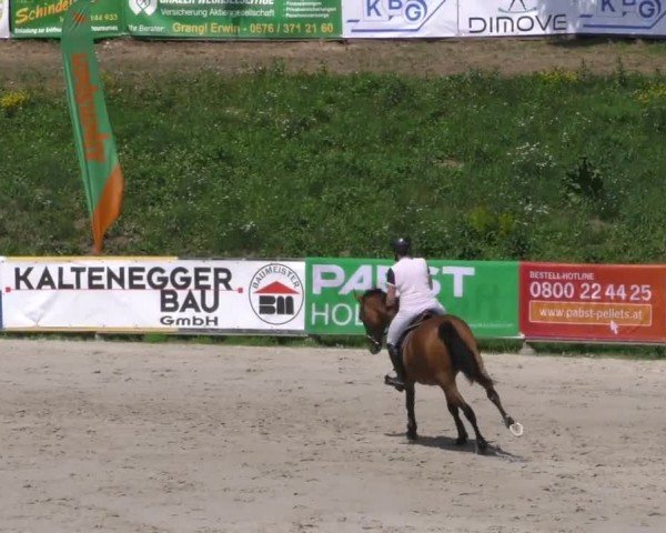 Reitturnier Zeltweg-Farrach 2022