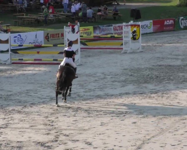 Reitturnier Zeltweg-Farrach 2022