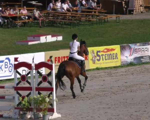 Reitturnier Zeltweg-Farrach 2022