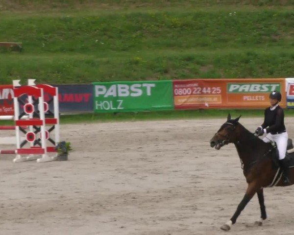 Reitturnier Zeltweg-Farrach 2022