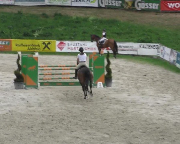 Reitturnier Zeltweg-Farrach 2022