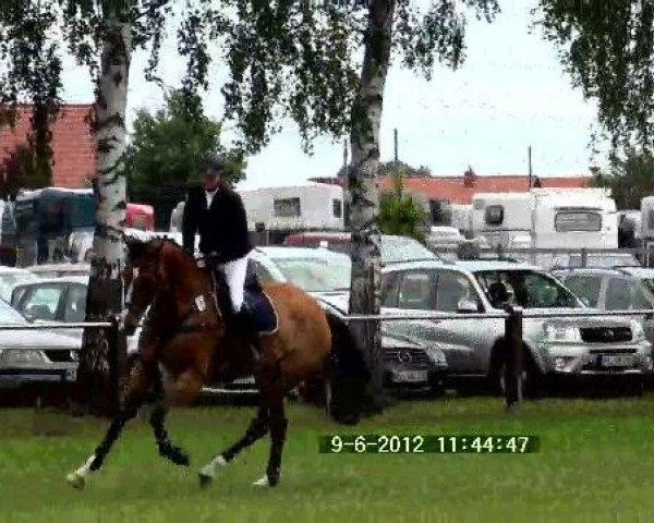 Großes Sommerturnier in Hille 2012