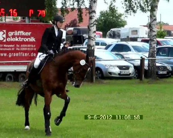 Großes Sommerturnier in Hille 2012