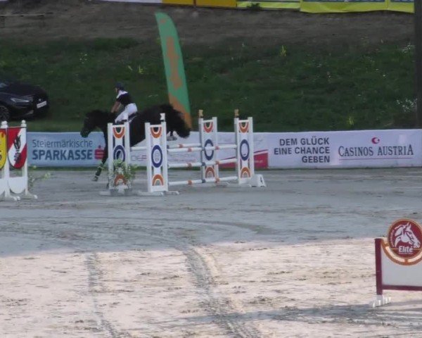 Reitturnier Zeltweg-Farrach 2022