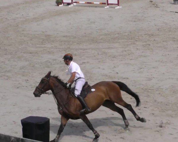 Reitturnier Zeltweg-Farrach 2022