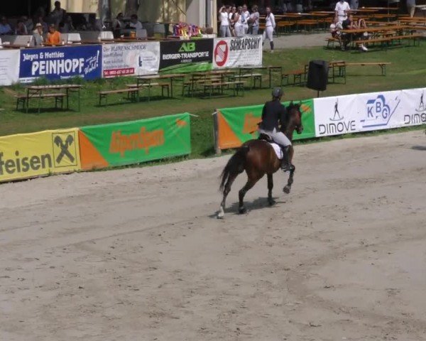 Reitturnier Zeltweg-Farrach 2022