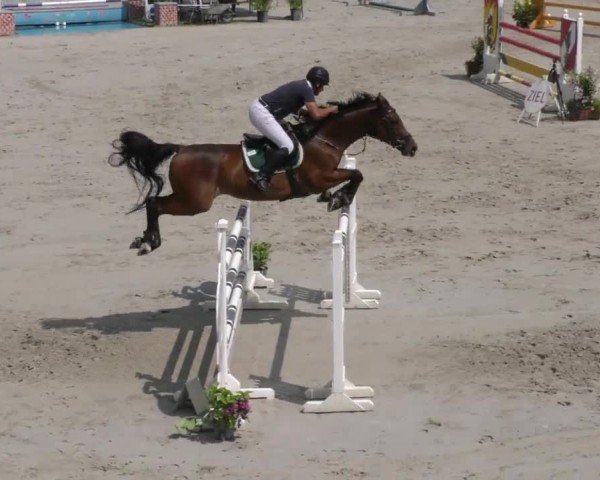 Reitturnier Zeltweg-Farrach 2022