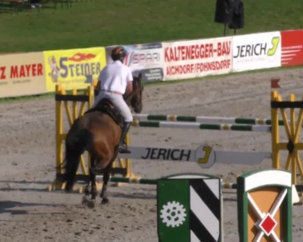 Reitturnier Zeltweg-Farrach 2022