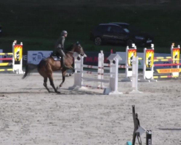 Reitturnier Zeltweg-Farrach 2022