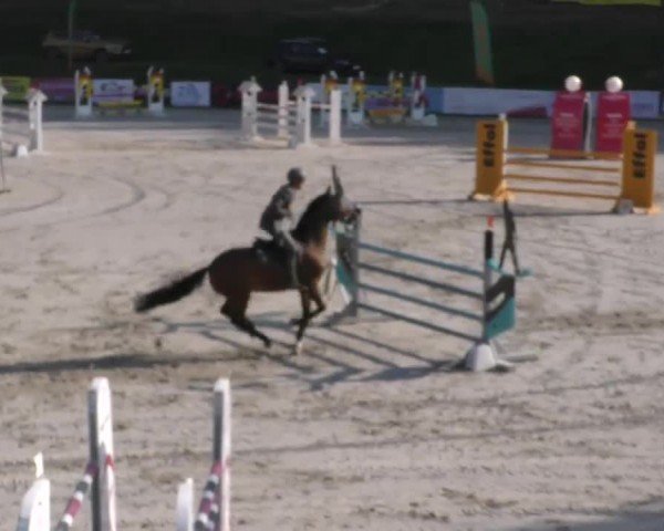 Reitturnier Zeltweg-Farrach 2022