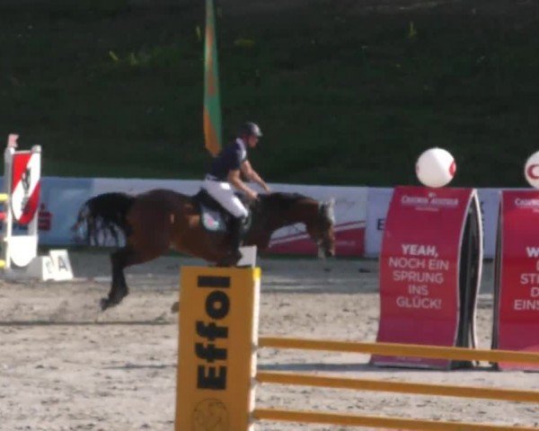 Reitturnier Zeltweg-Farrach 2022