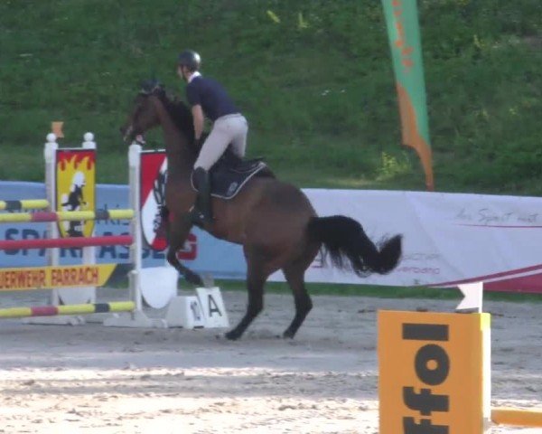 Reitturnier Zeltweg-Farrach 2022