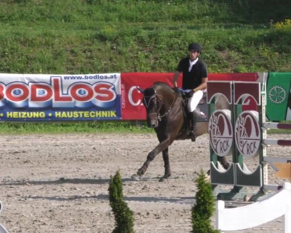 Reitturnier Zeltweg-Farrach 2022