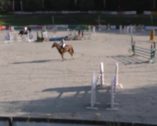 Reitturnier Zeltweg-Farrach 2022
