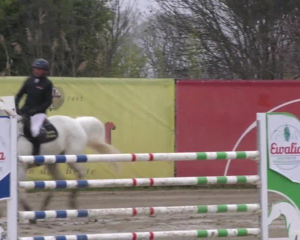 Reitturnier Gniebing-Feldbach 2022