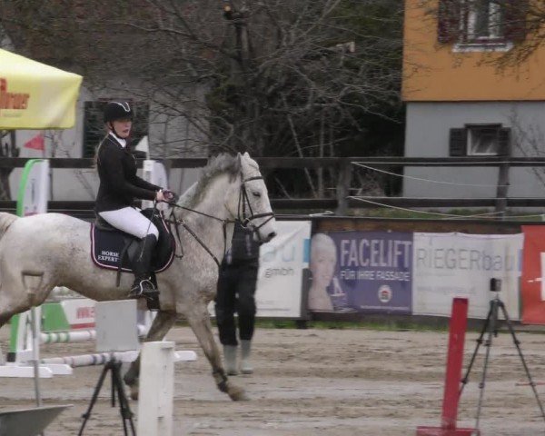 Reitturnier Gniebing-Feldbach 2022