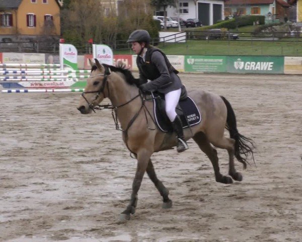 Reitturnier Gniebing-Feldbach 2022