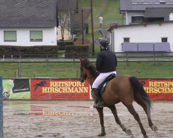 Reitturnier Gniebing-Feldbach 2022