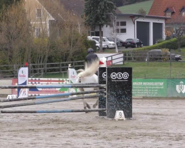 Reitturnier Gniebing-Feldbach 2022