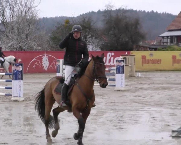 Reitturnier Gniebing-Feldbach 2022