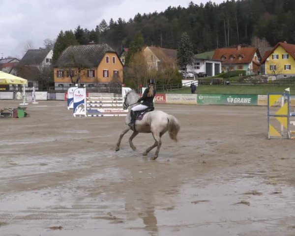 Reitturnier Gniebing-Feldbach 2022