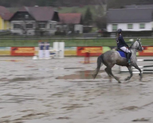 Reitturnier Gniebing-Feldbach 2022
