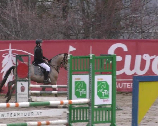 Reitturnier Gniebing-Feldbach 2022