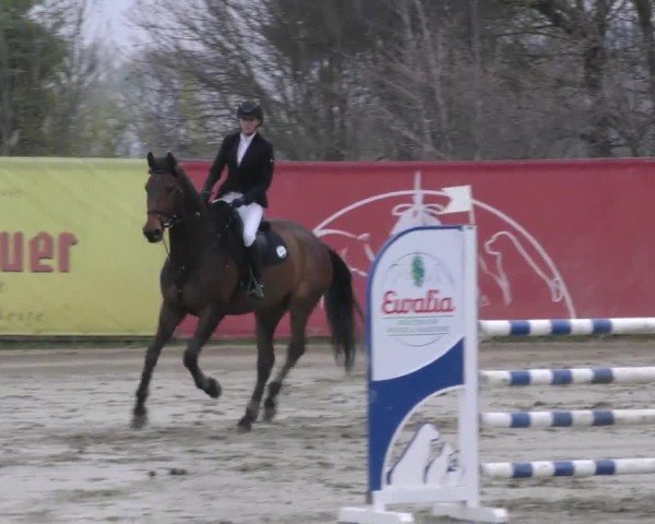 Reitturnier Gniebing-Feldbach 2022