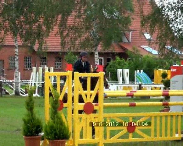Großes Sommerturnier in Hille 2012