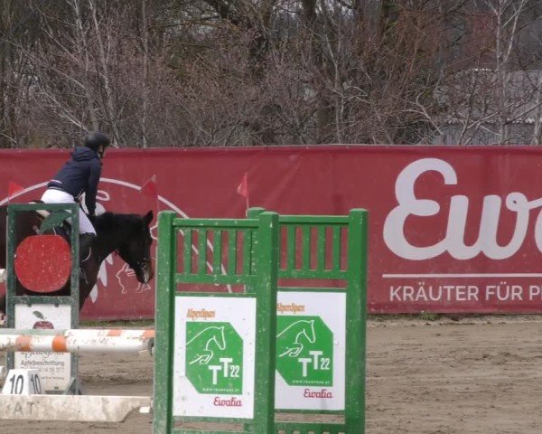Reitturnier Gniebing-Feldbach 2022