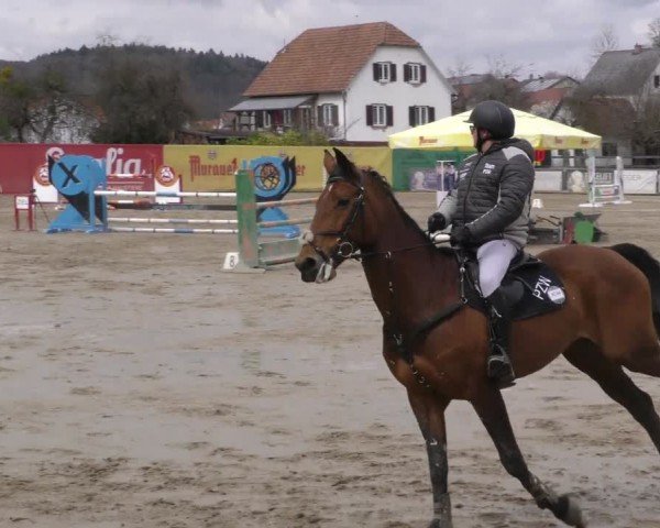 Reitturnier Gniebing-Feldbach 2022