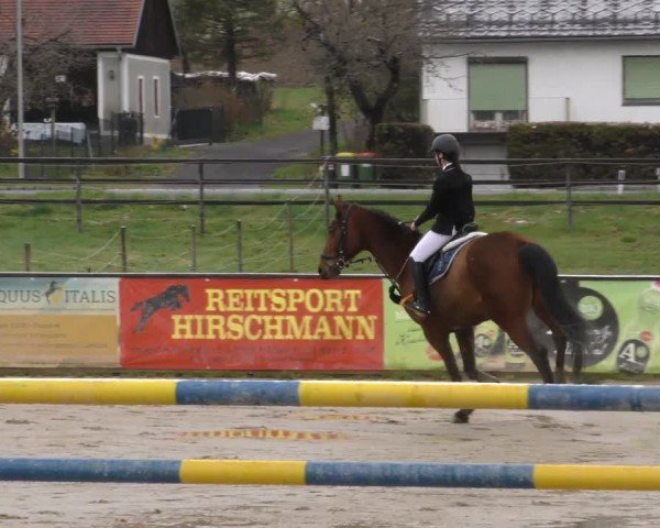 Reitturnier Gniebing-Feldbach 2022