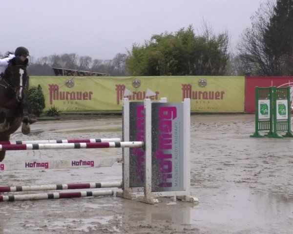 Reitturnier Gniebing-Feldbach 2022