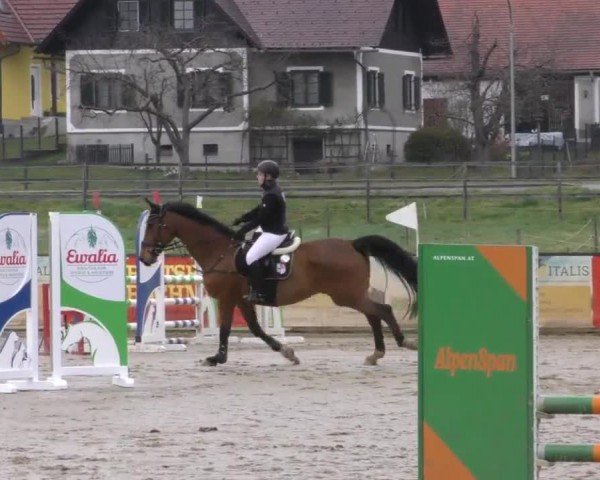 Reitturnier Gniebing-Feldbach 2022