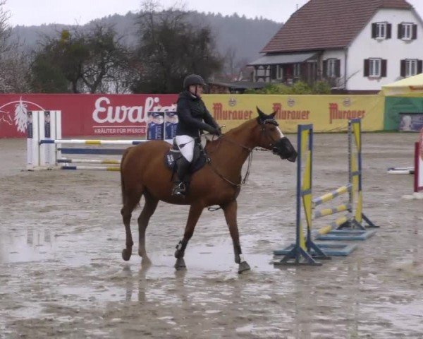 Reitturnier Gniebing-Feldbach 2022
