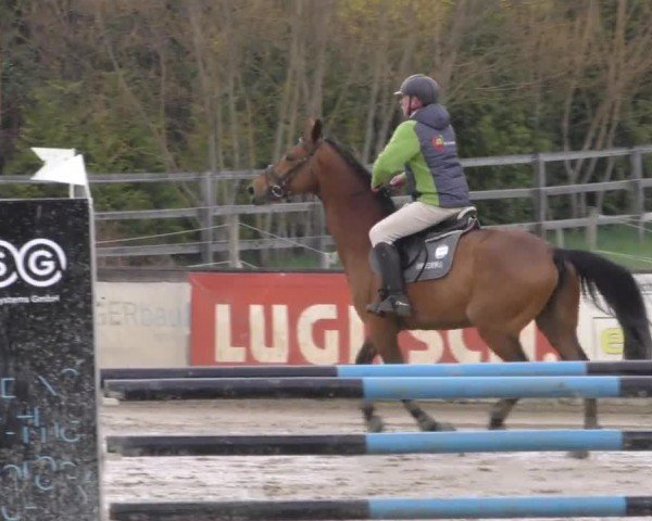 Reitturnier Gniebing-Feldbach 2022