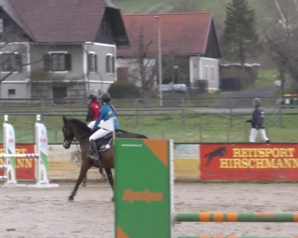 Reitturnier Gniebing-Feldbach 2022