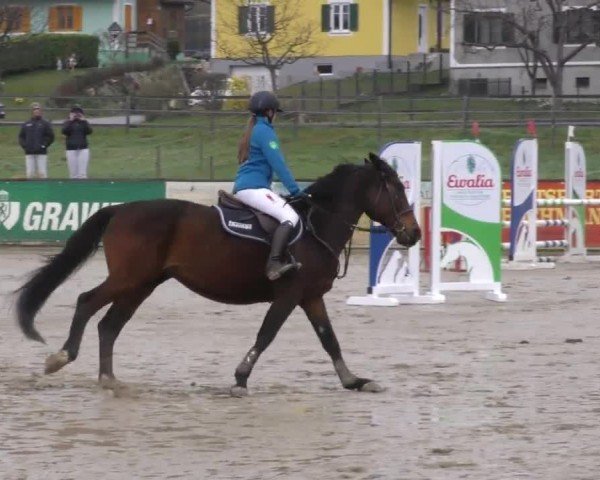 Reitturnier Gniebing-Feldbach 2022